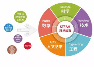 大班STEM设计方案[大班steam活动设计]