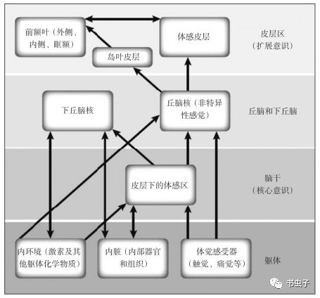 情绪治疗设计方案[情绪疗法的基本程序]