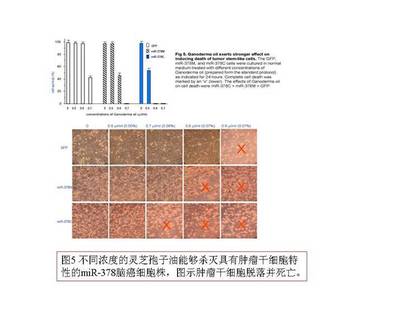 micrornappt的简单介绍